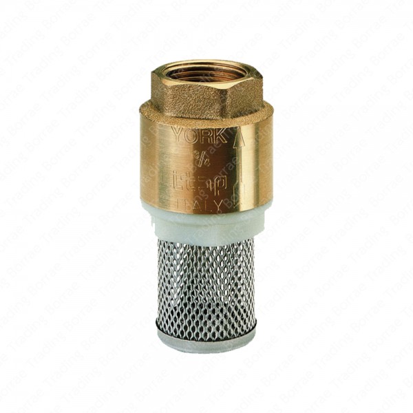 Foot valve 1