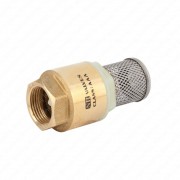 Foot valve 2