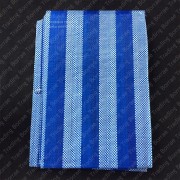 060101655