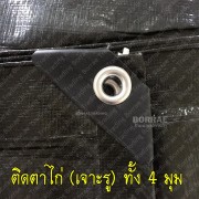 060101662