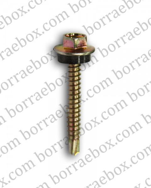 น็อตหลังคาปลายสว่าน สีรุ้ง 1 น็อตหลังคาปลายสว่าน สีรุ้ง 1