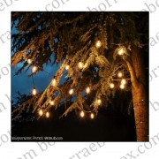 zeazon หลอดใส 1