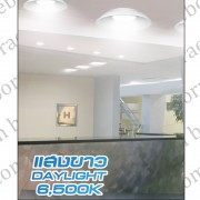 หลอด LED ECO T Series แบบมีแผ่นสะท้อน ขั้วเกลียว E27 ขนาด 40W 2