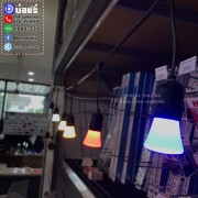 หลอดชมพู่ (8)