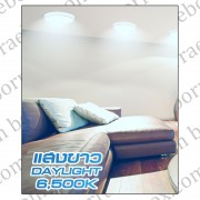 โคมพาเนล LED ECO Series ทรงกลม ขนาด 6W-18W แบบติดลอย 2